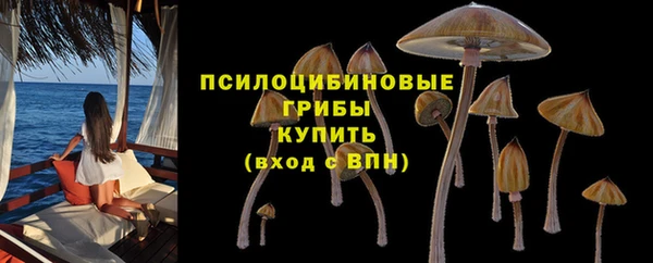 дживик Липки