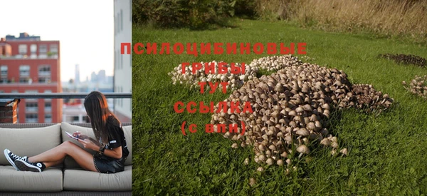 дживик Липки