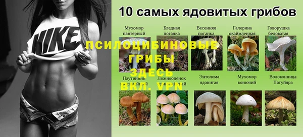 дживик Липки