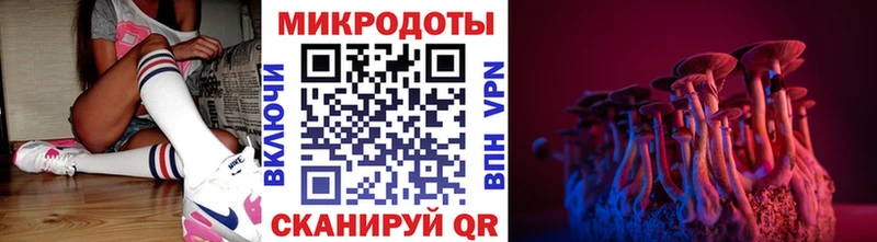 где продают   Орёл  Псилоцибиновые грибы MAGIC MUSHROOMS 